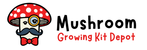 Mushroom Growing Kit Depot